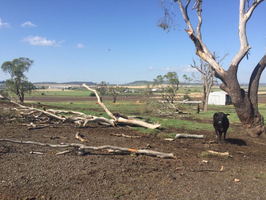 Severe southern Queensland storms damage homes, crops; lightning lights ...