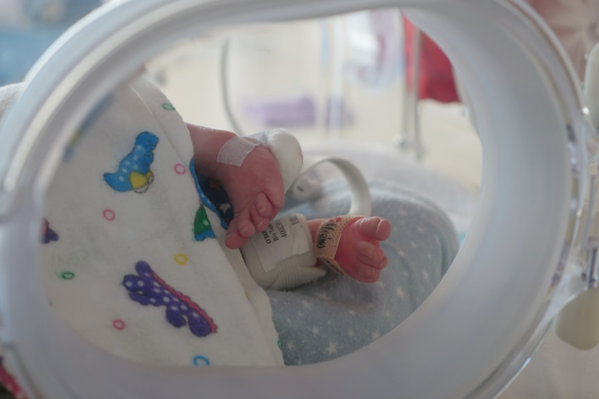 Premature baby feet through an oval-shaped incubator door.