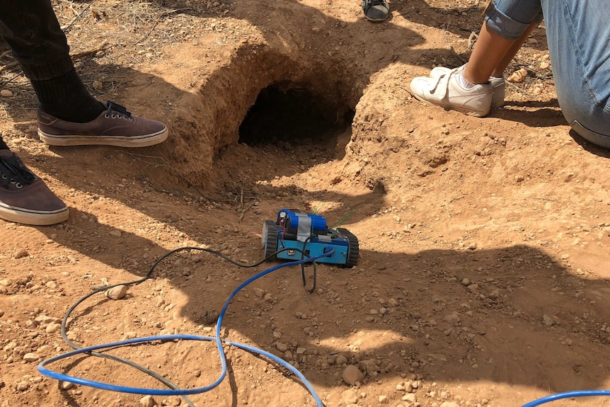 A small buggy at the entrance to a wombat hole with students looking on.