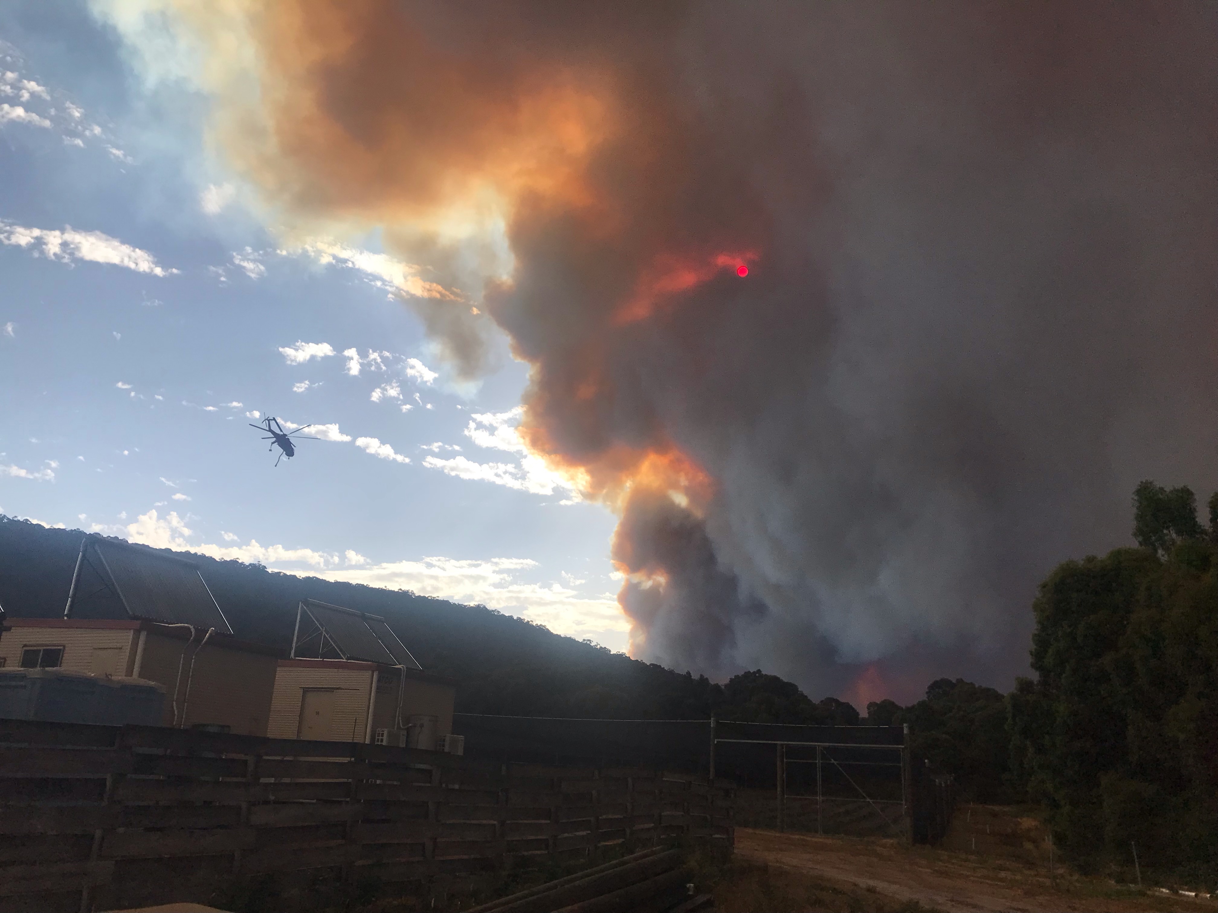 Muita fumaça sobe sobre um horizonte arborizado.