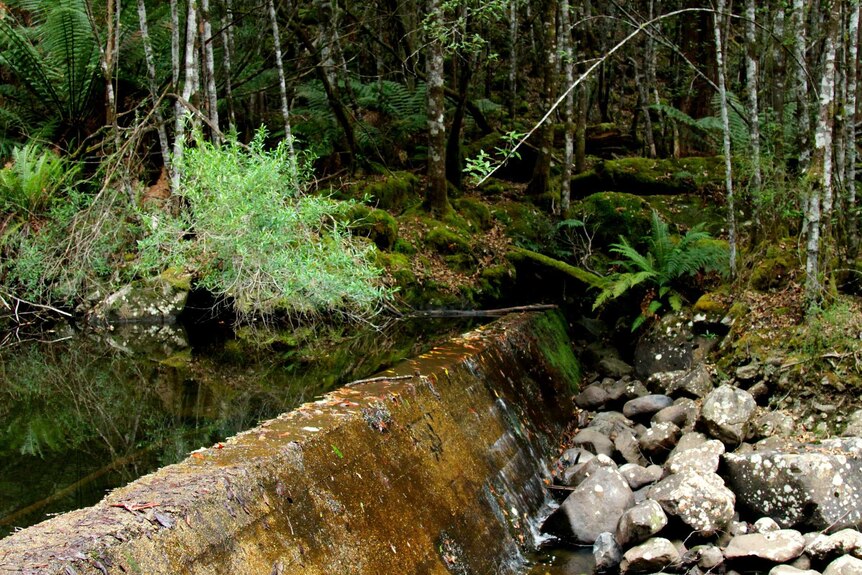 Dora Creek water supply