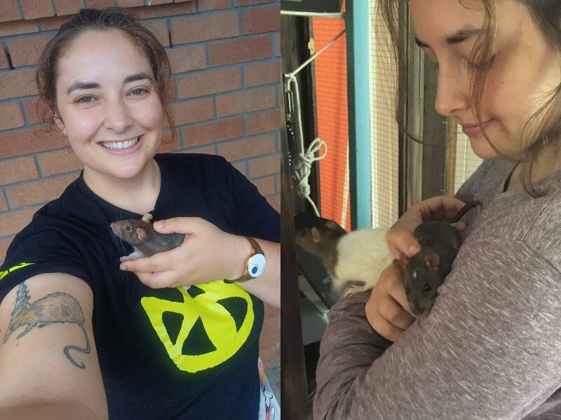 A composite image of a young woman with brown hair holding rats.