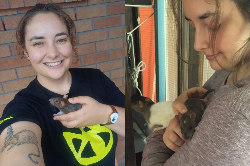 A composite image of a young woman with brown hair holding rats.
