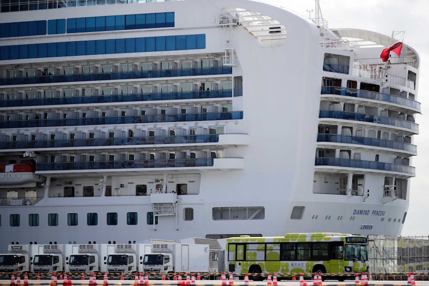 The Diamond Princess cruise ship docked