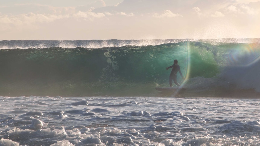 person surfing