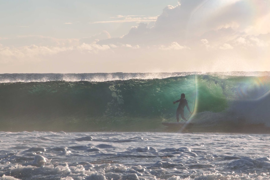 person surfing