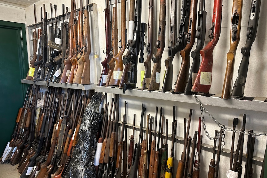 Guns in a warehouse.
