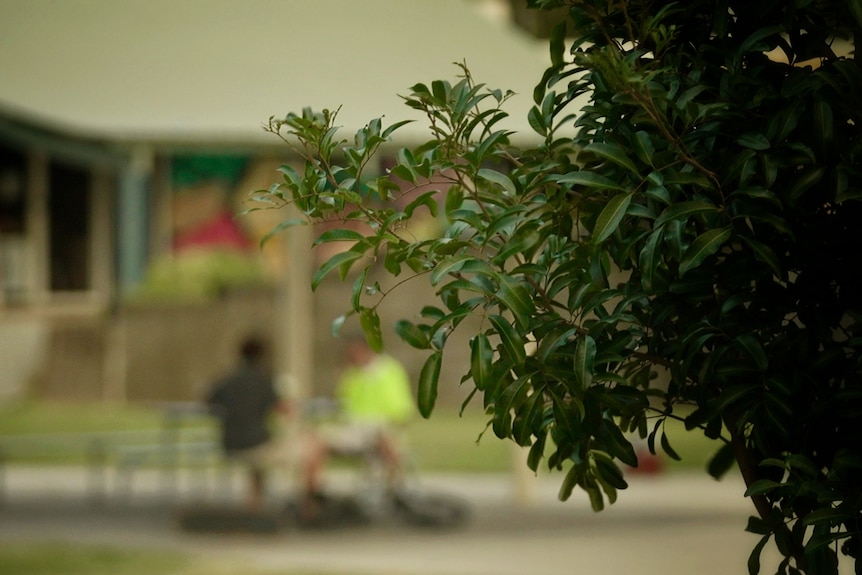 Teenagers sit on a bench at Redcliffe Area Youth Space.