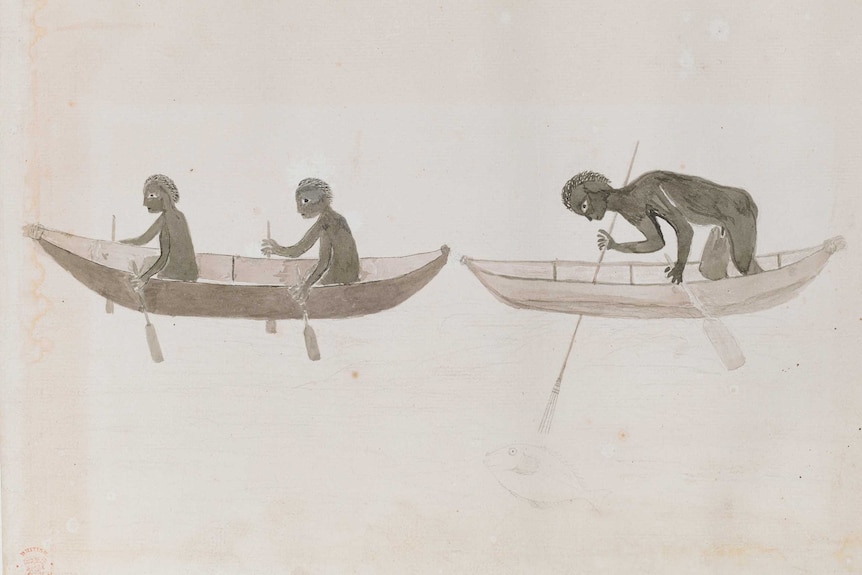 An illustration of three Indigenous Australians in canoes. One of them is catching a fish with a three-pronged spear.