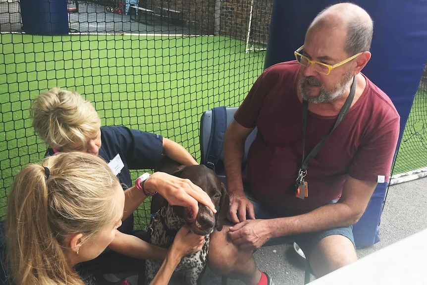 A volunteer vet treats the dog of homeless man Peter Swan