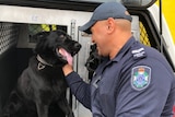 A smiling police officer in blue uniform and hat sit at back of vehicle petting panting black dog.