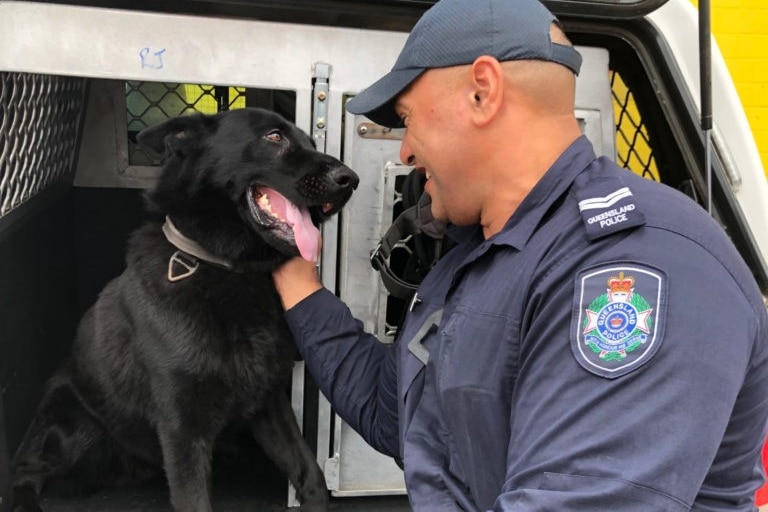 A smiling police officer in blue uniform and hat sit at back of vehicle petting panting black dog.