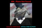 An image of a lizard wearing a top hat and a monocle shows on Malaysian Airlines' website