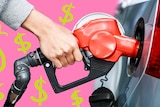 close up of hand pumping fuel into a car