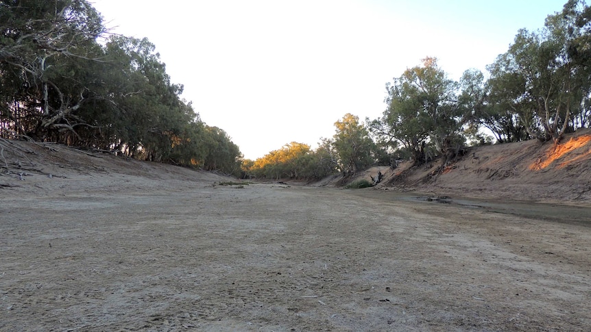 Dry Darling at Kelleen Station