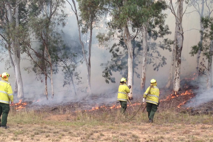 Fire management teams manage a controlled burn.