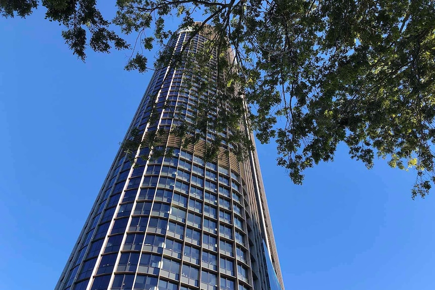 A high-rise building as seen from directly below, a tree overhanging in the foreground
