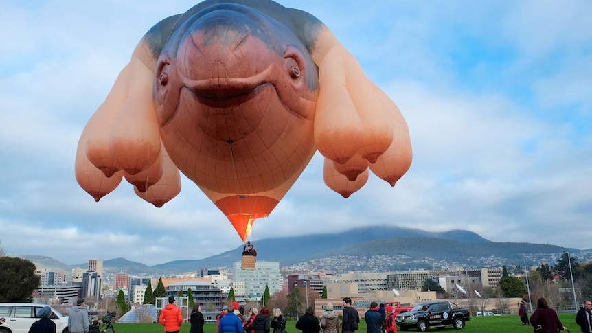 Skywhale tethered flight in Hobart.