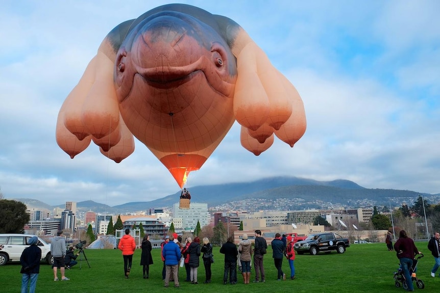 Skywhale tethered flight in Hobart.