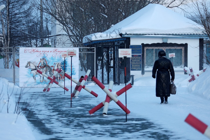 A woman walks into a prison camp in Siberia.