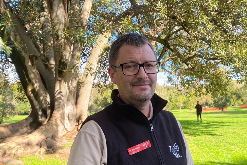 A man wearing a black vest with a red name tag and black square glasses stands in front of a tree in a park