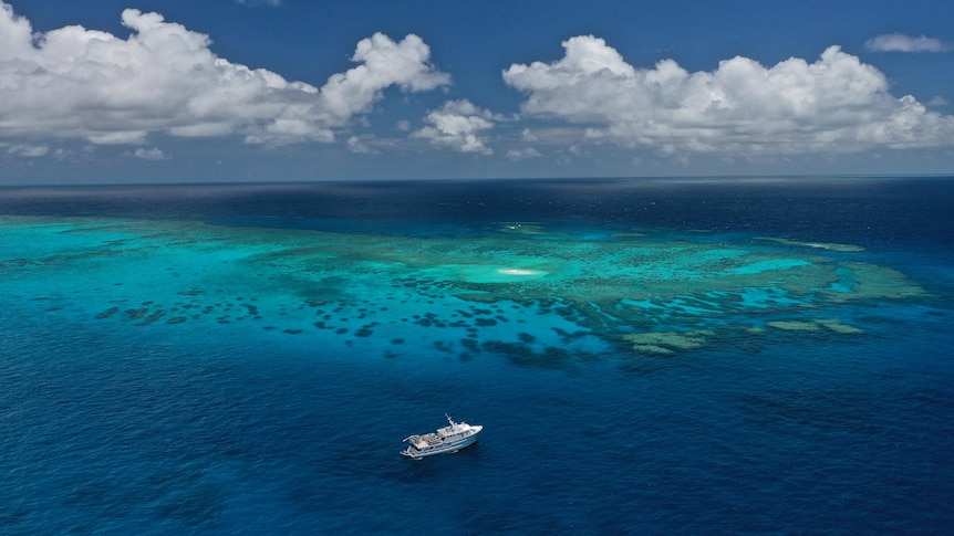 A boat on the reef