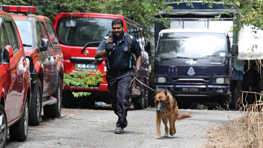 A police officer raises a hand, palm facing outwards, while running on a road with a sniffer dog.