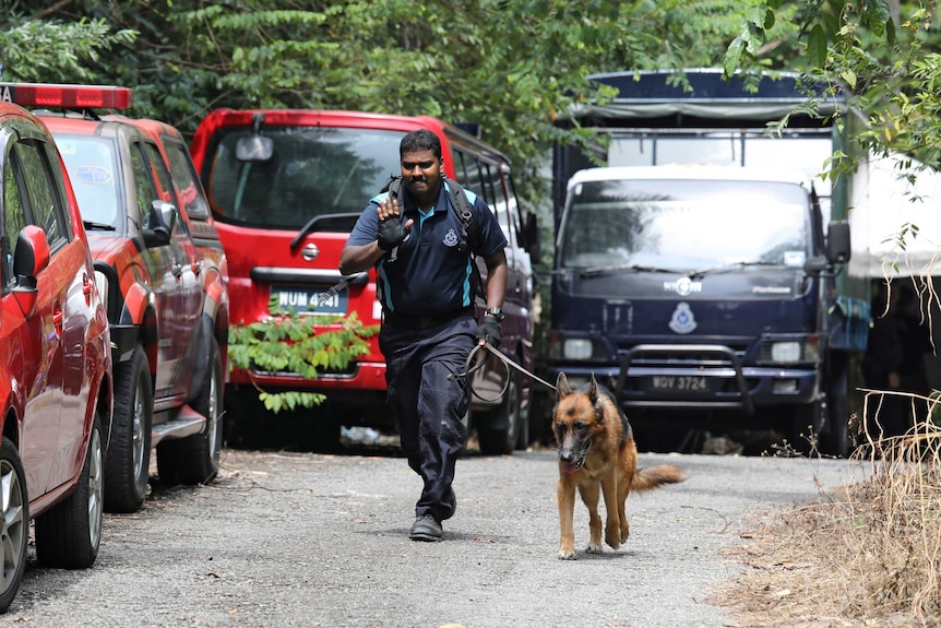 A police officer raises a hand, palm facing outwards, while running on a road with a sniffer dog.