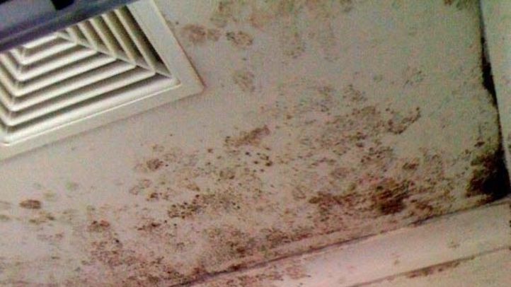 The research shows asthma gets worse as the amount of mould increases.
