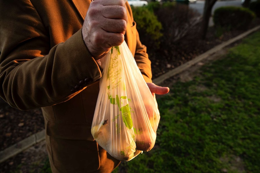 compostable plastic bag filled with fruit