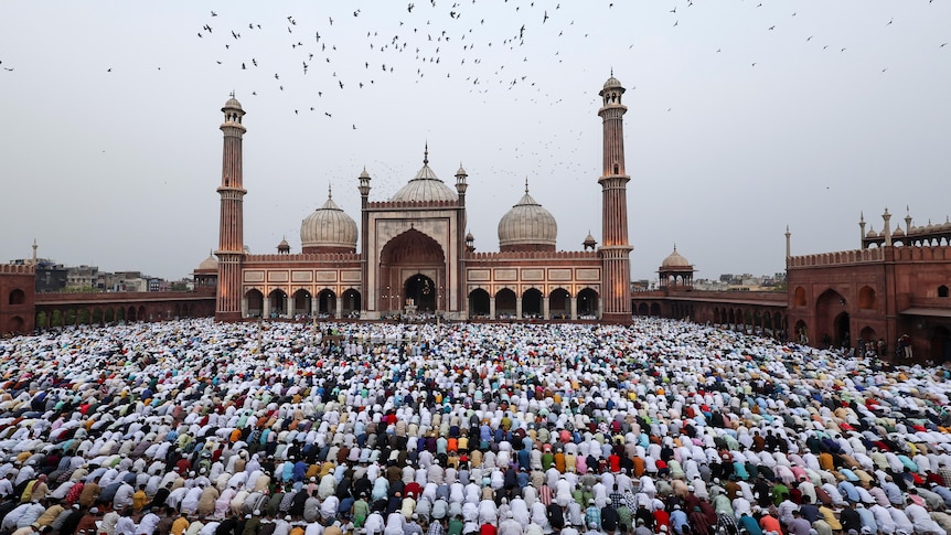 Bird's eye view of communal prayer at a mosque with a flock of birds in the background