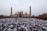 Bird's eye view of communal prayer at a mosque with a flock of birds in the background