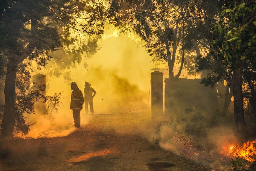 Two firefighters in protective gear fight a bushfire from a path with the area covered in smoke.