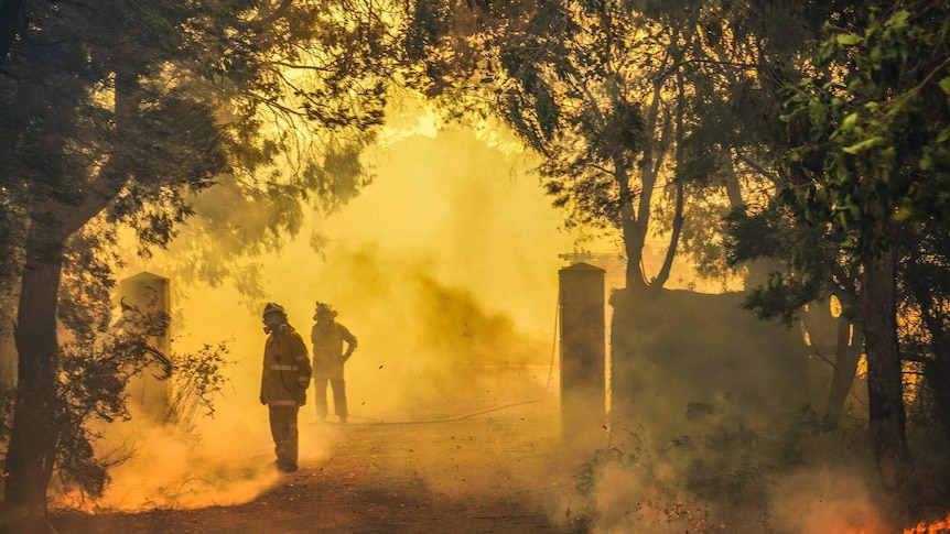 Two firefighters in protective gear fight a bushfire from a path with the area covered in smoke.