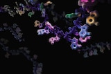 A colourful image shows the chain of RNA.
