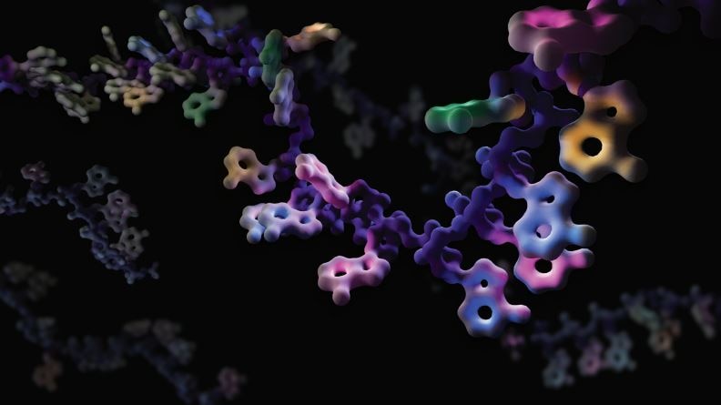 A colourful image shows the chain of RNA.