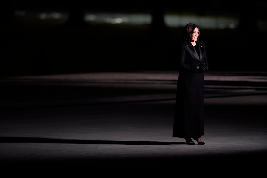 Vice President Kamala Harris addresses the nation at the Celebrating America concert