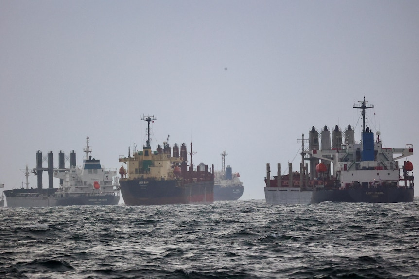 Three cargo vessels waiting in the open ocean under a blue sky.