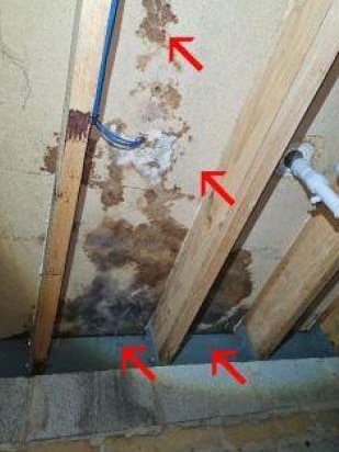 An inspection report showing rotting floor.