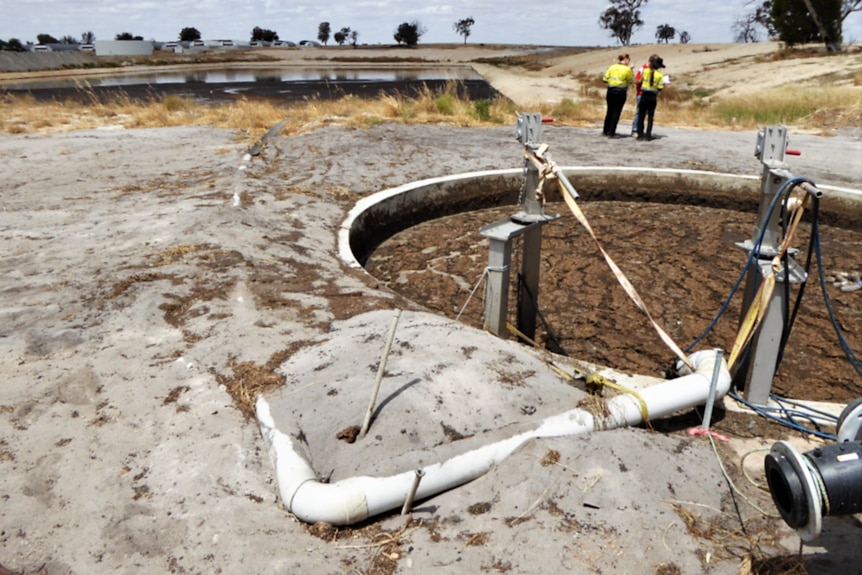 Pit of pig waste