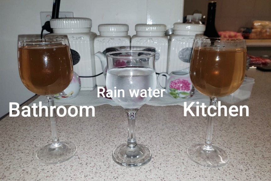 Three glasses of water. Two of them are brown in colour and have come from the tap. The one that is clear is rainwater