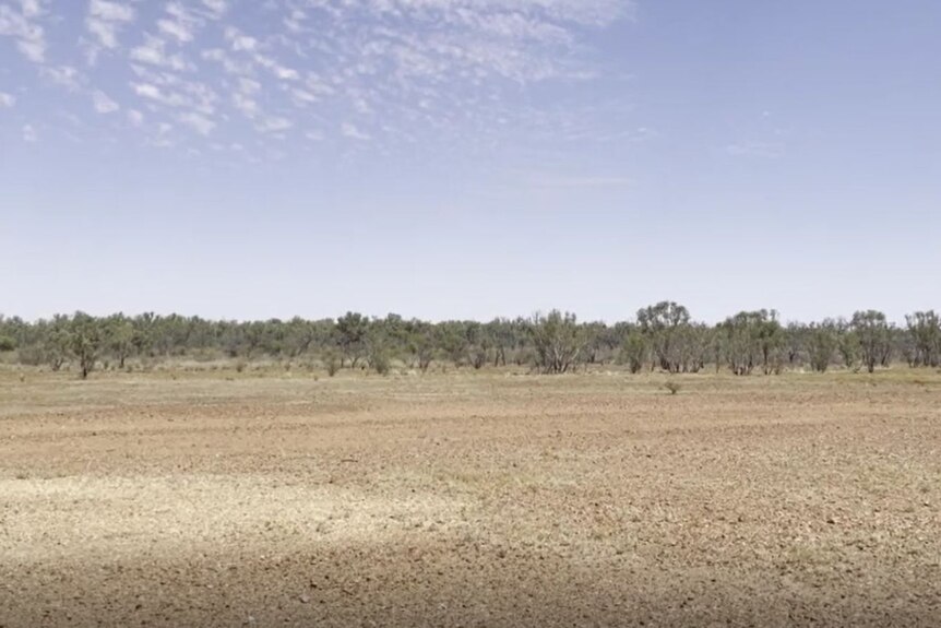 dry ground with trees in the distance