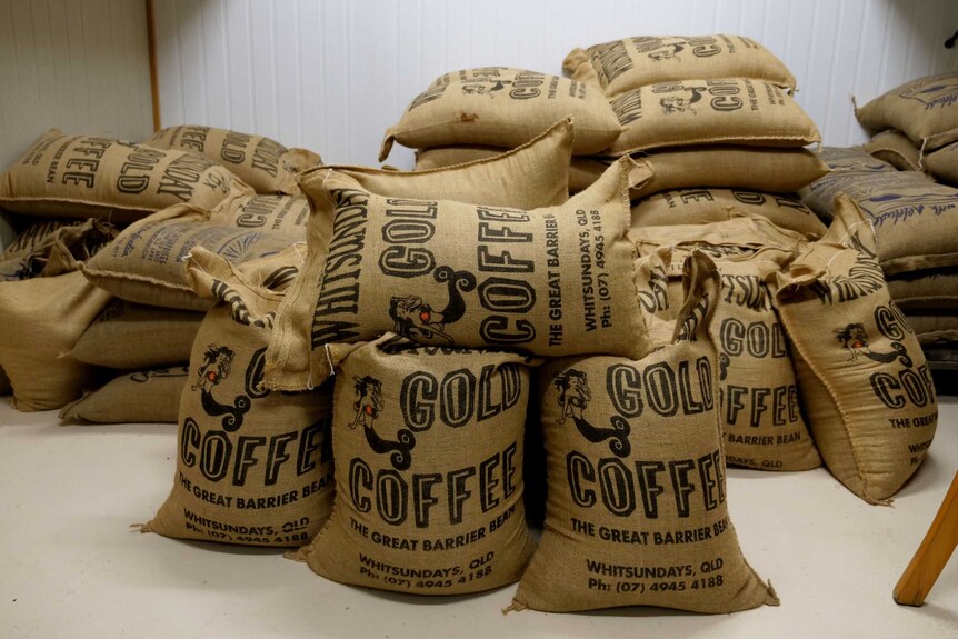 Hessian bags of coffee beans stacked in a room.