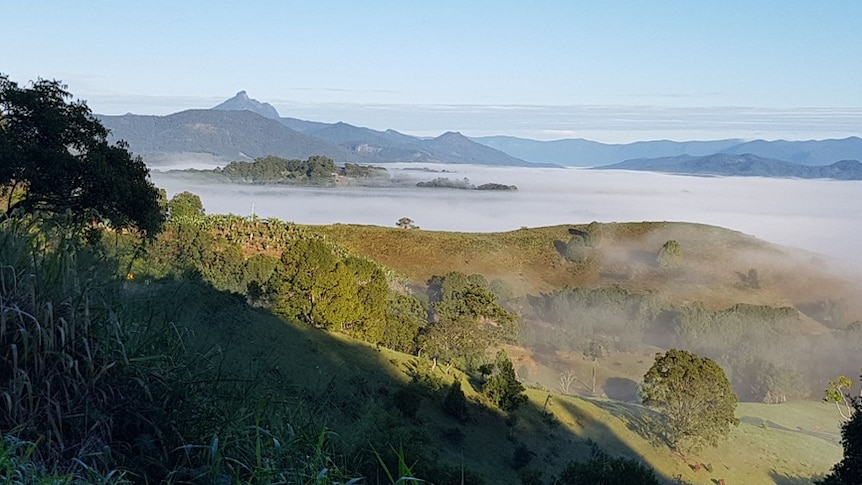 Mt Warning on a chilly morning.