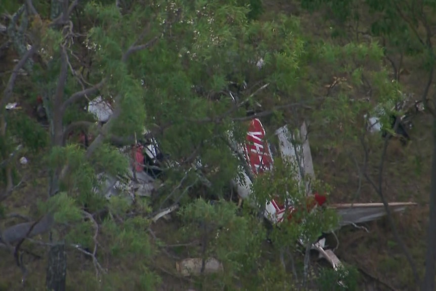 Wreckage of a crashed light plane seen through the branches of bushland