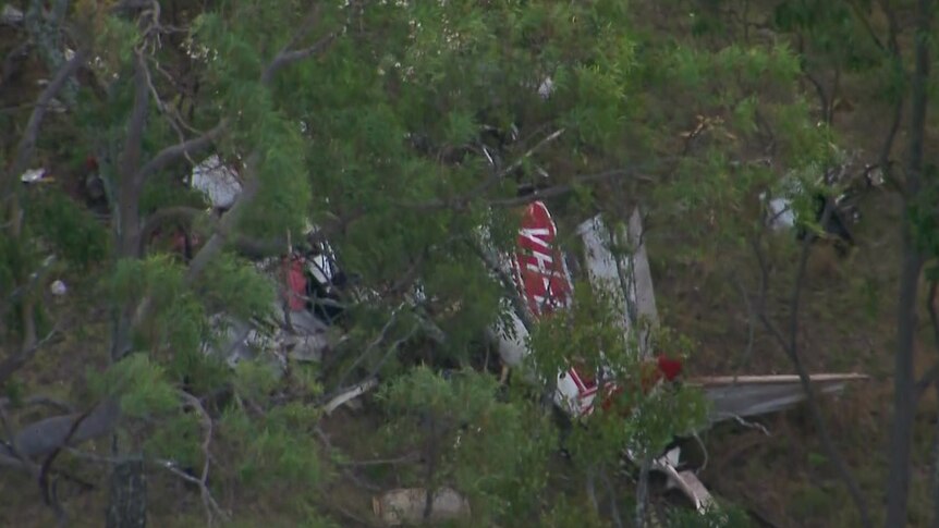 Wreckage of a crashed light plane seen through the branches of bushland