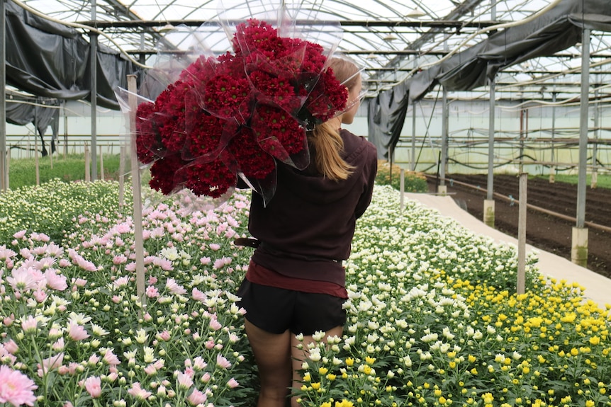 a young women walks with a huge bunch of flowers over her shoulder
