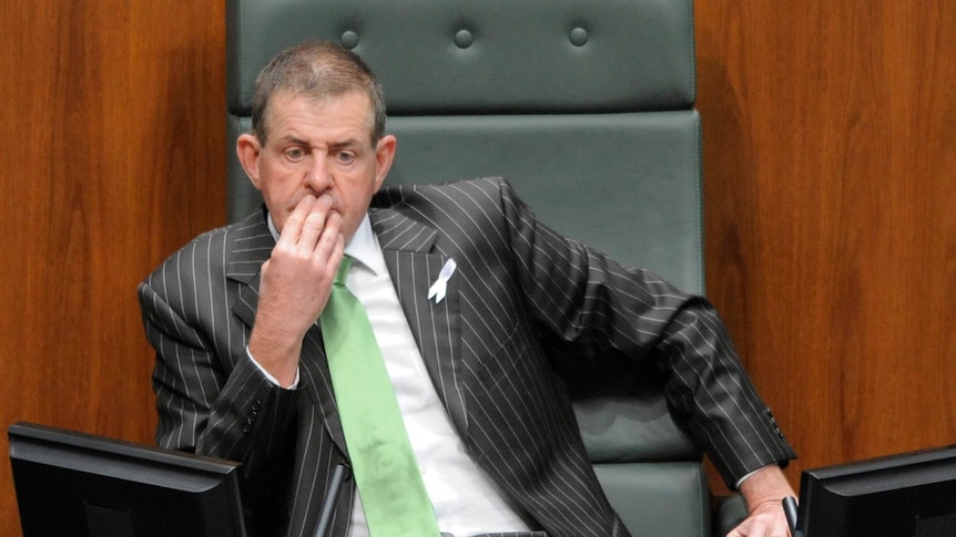 Peter Slipper after being elected Speaker