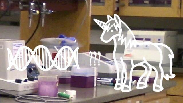 Laboratory equipment with superimposed image of DNA ribbon and unicorn