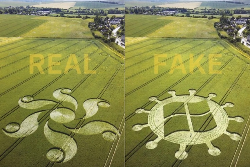A composite image of a real crop circle and a fake one which resembles the microsoft logo